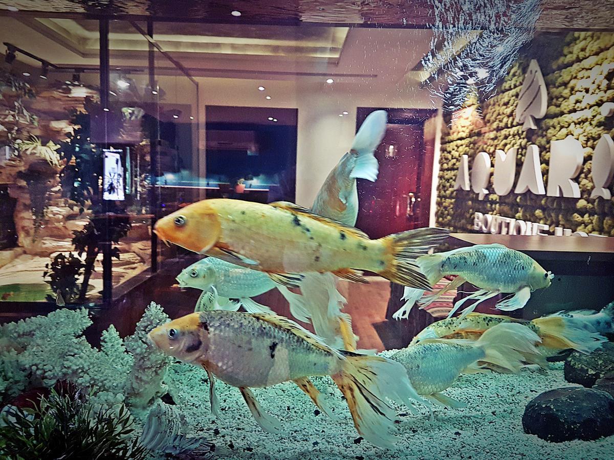 Aquarium Hotel Ριάντ Εξωτερικό φωτογραφία