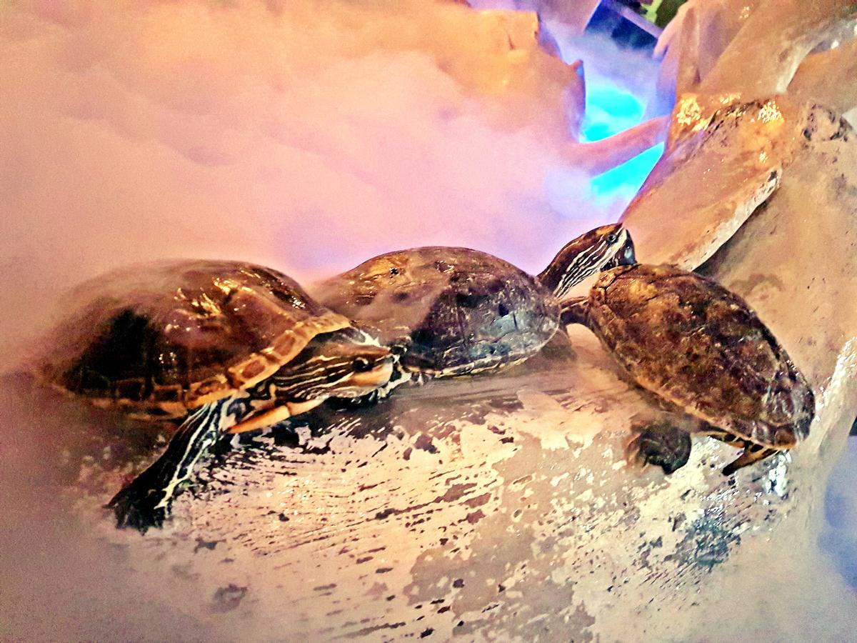 Aquarium Hotel Ριάντ Εξωτερικό φωτογραφία