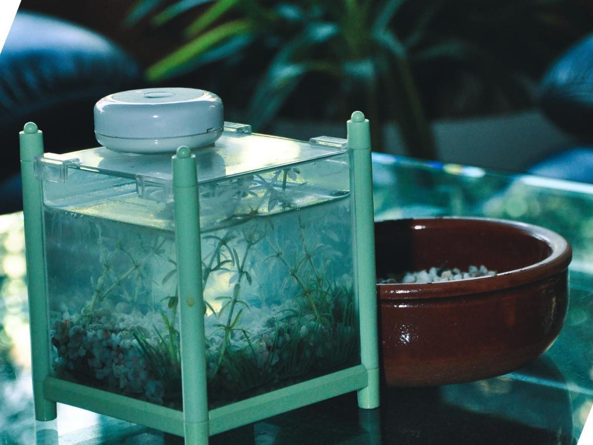 Aquarium Hotel Ριάντ Εξωτερικό φωτογραφία